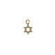 Pendiente Estrella de David Oro Circon - 526094